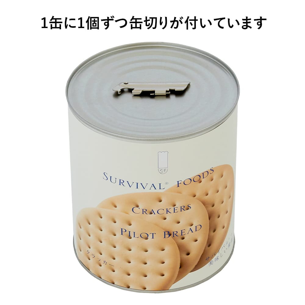 【大缶×6缶セット】サバイバルフーズ クラッカー&チキンカレーセット(約60食分)