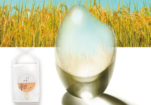 【限定20セット・令和7年新米】つや姫（5kg）(会計時クーポンコード適用で10%OFF)